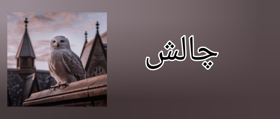 چالش داریم عزیزان