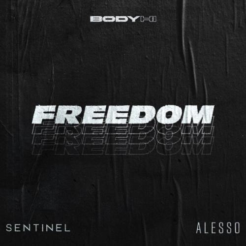 ترجمه فارسی متن آهنگ Sentinel , Alesso – Freedom