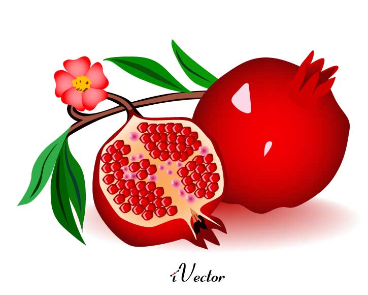 بیلی(یلدا)