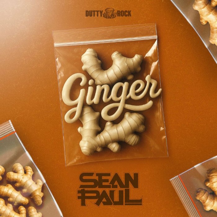 ترجمه فارسی متن آهنگ Sean Paul - Ginger