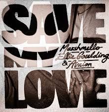 ترجمه آهنگ Save My Love