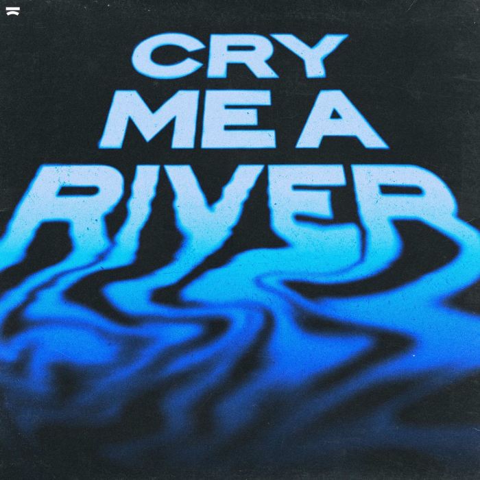 ترجمه Aoki, Vegas, Like Mike, Timbaland - Cry Me A River