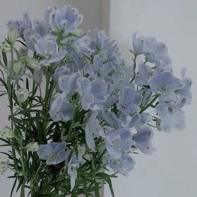 Blue girl