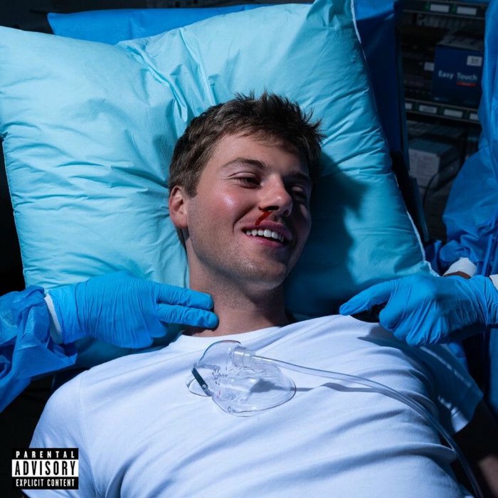 ترجمه به همراه مفهوم متن آهنگ Ruel - I Can Die Now