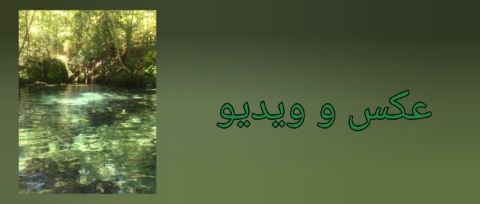 جایی که دلم میخواد برم...