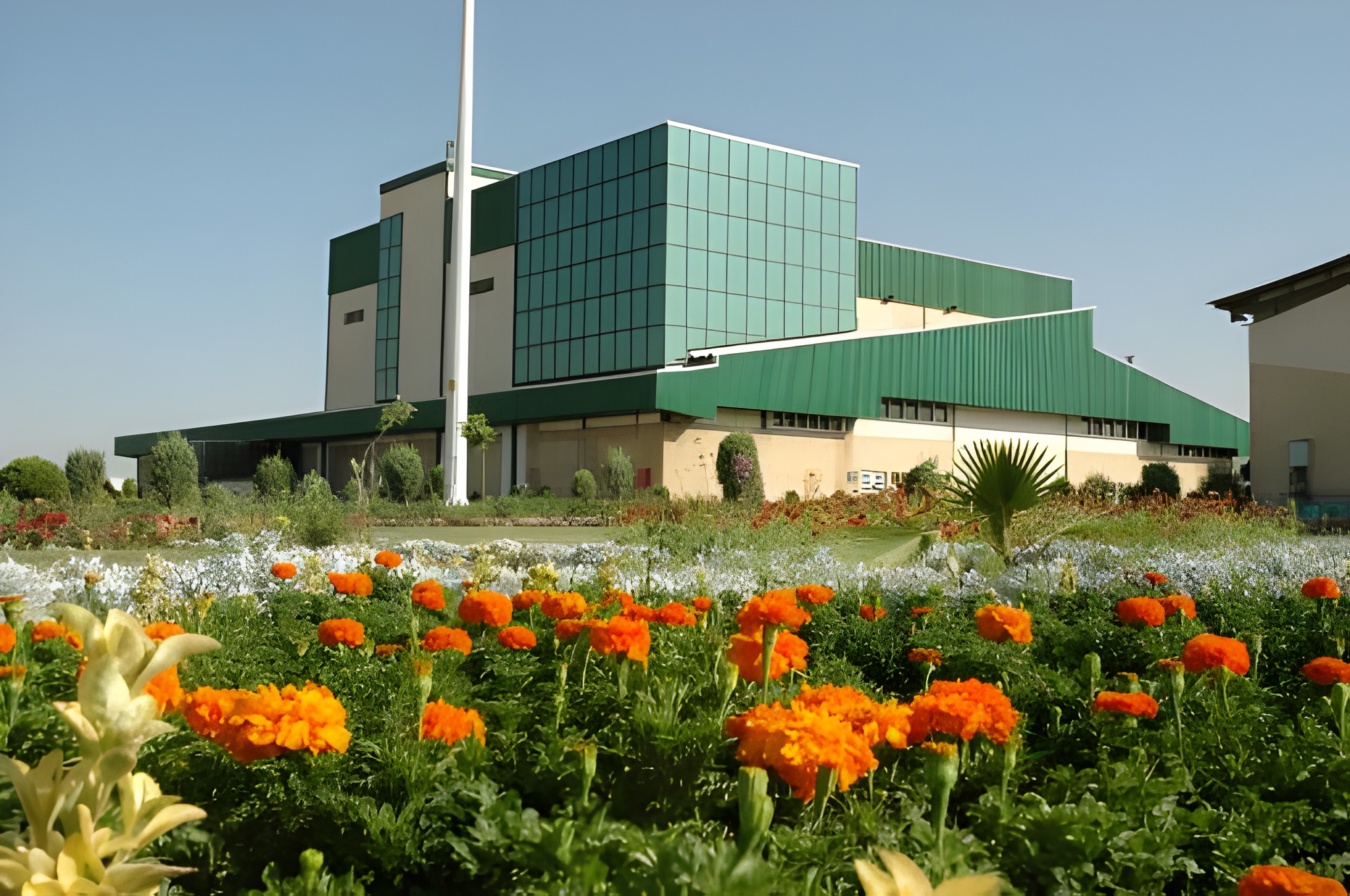 بررسی عملکرد ۶ ماهه غمایه | خمیرمایه رضوی