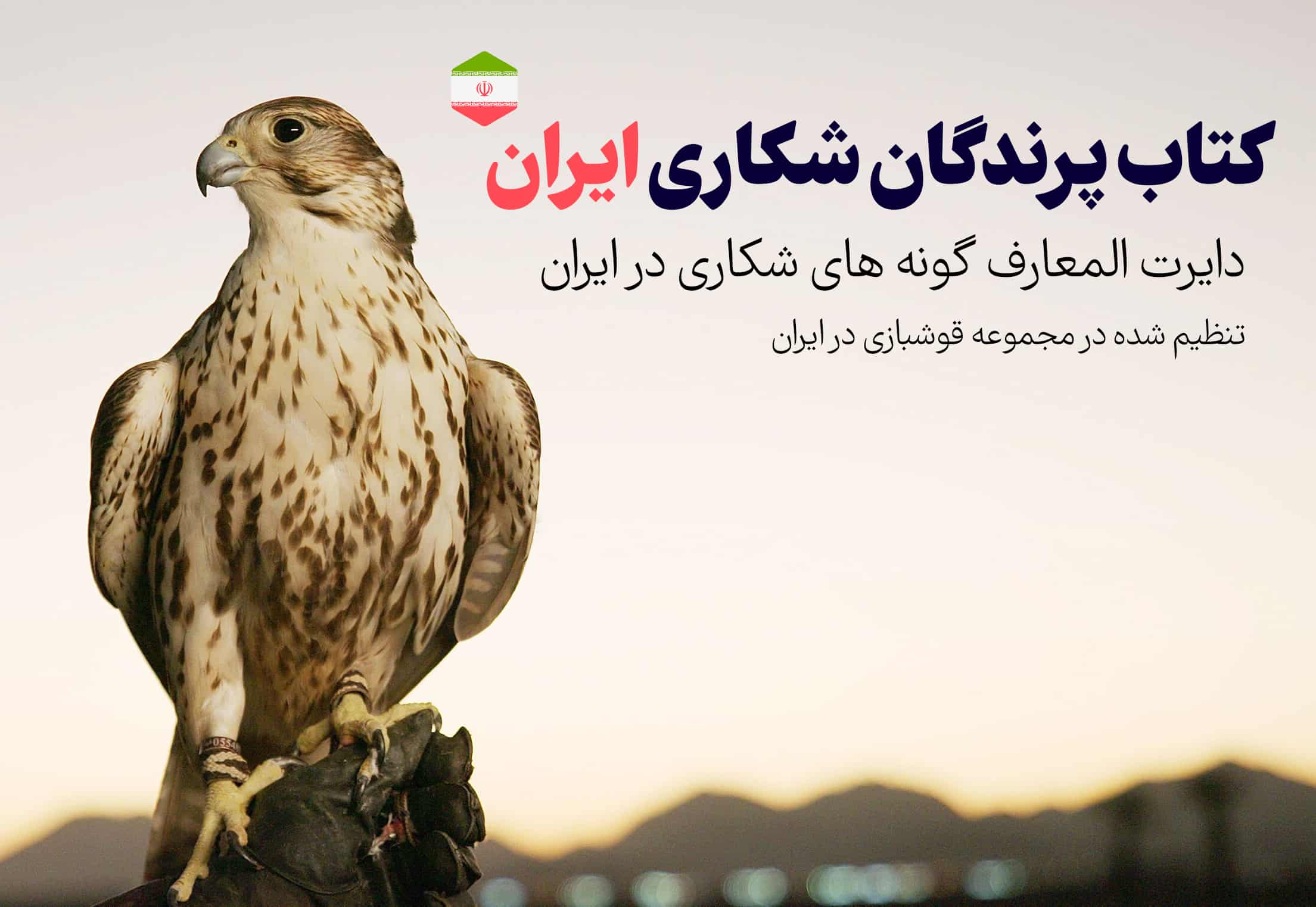 پرندگان شکاری ایران