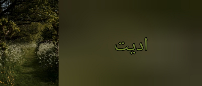 پیک‌نیک با دوستام